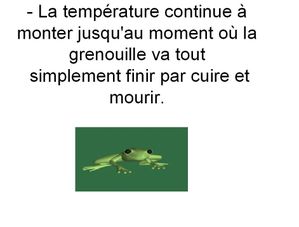 sans titre12