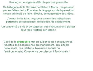 sans titre4