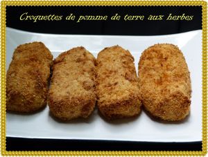 croquettes PDT