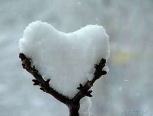 coeur d'hiver