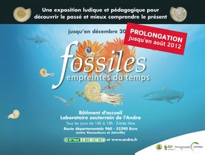 expo fossile 2012