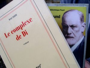 Cliquez ! :) DAI Sijie - Le complexe de Di