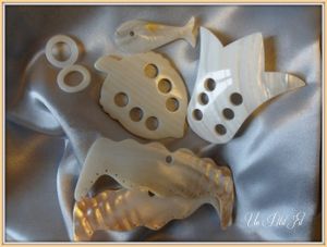 présentation accessoires en nacre
