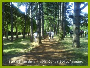 ElantablerondeSceaux047 (Medium)