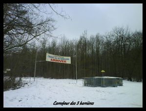 VIROFLAY002 (Small)