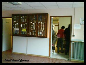 VIROFLAY004 (Small)