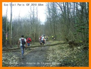 ECO-TRAIL-JOUR-J140--Medium-.JPG