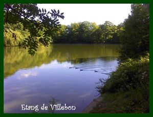 MEUDON-DSC0000003--Small-.jpg