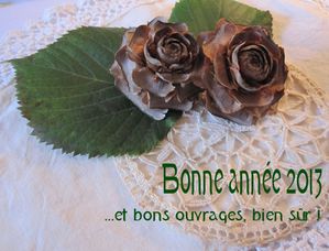 Bonne année 2013