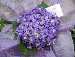 bouquet-violette.jpg