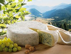 bleu-du-vercors.jpg