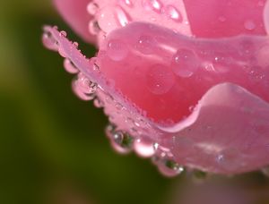 Img1427bis.jpg