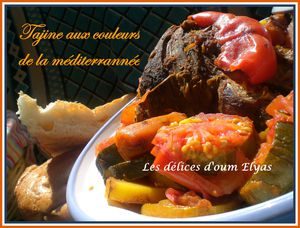 Tajine d'agneau aux couleurs de la méditerrannée (4)