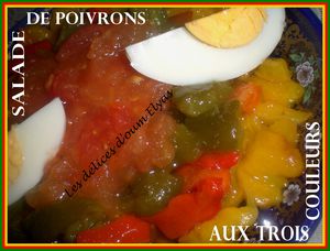 Salade de poivrons aux trois couleurs (3)