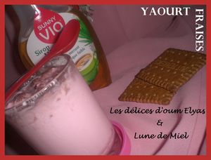 Yaourts maison aux fraises (3)