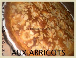 Tarte amandine aux abricots (5)