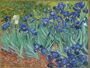 Iris 1889