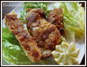 panees-amandes-agrumes.jpg