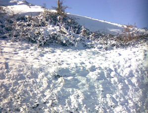 neige alban 2