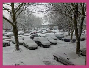 DSC0000967 (Small)