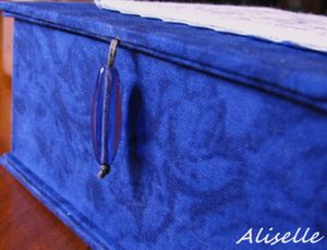Boîte bleue 02 2010 detail
