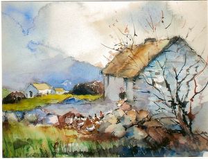 comte Mayo Irlande