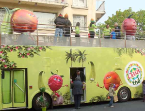 Oasis Bus