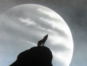 Loup