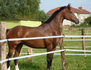 Ophélie & sa louloute ! 6292_1196377153790_1359305670_30539121_2109289_n