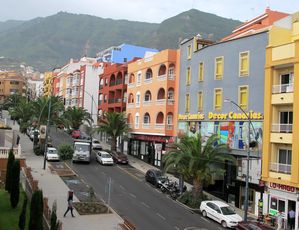 210813-Zona-Comercial-Abierta-de-Realejo-Alto-Avenida-de-Ca.jpg