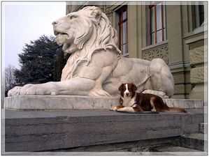 a004.jpg
