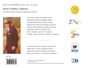Grande-vignette-4-entre-CAdola-e-Salason-20130725