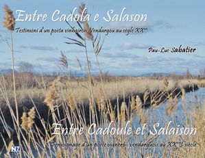 Grande-vignette-entre-CAdola-e-Salason-20130725