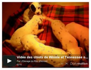 photo vidéo bb W&T