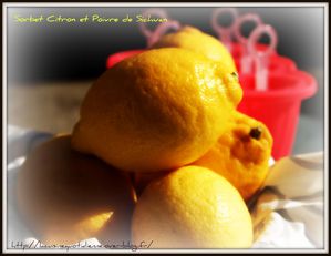 sorbet-citron.jpg