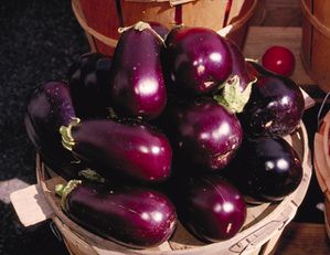 Aubergines.jpg