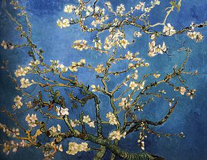 Vincent-Van-Gogh-Amandier-en-fleurs.jpg