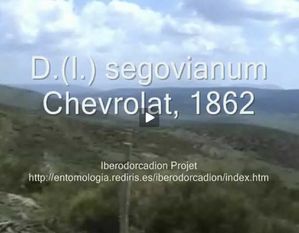 photBlipSegovianum.jpeg