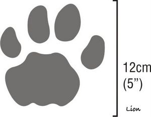 lion-spoor
