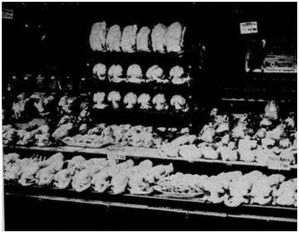 vitrines-1922-dinde.JPG