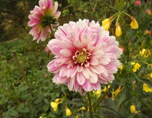 DSCN2075.JPG