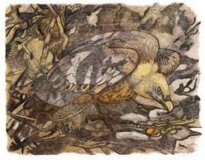 Gravure, vautours, Castet, 1961 [1600x1200]