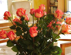 DSC04565.JPG