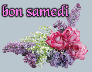 12szi8g7