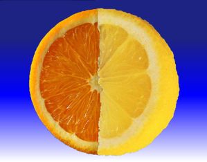 Orange-Citron-s.jpg