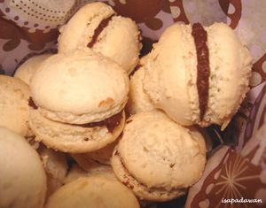 macarons-choco-coco--4-.JPG