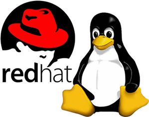 red-hat-linux_novirent_location_serveurs.jpg