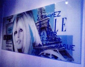 Tableau-Bardot-en-verre-des-Pays-Bas--Blog-Bagnaud-.jpg