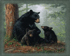 3 ours
