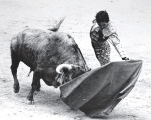 camino-al-natural-serranito-madrid-1971-1-.jpg